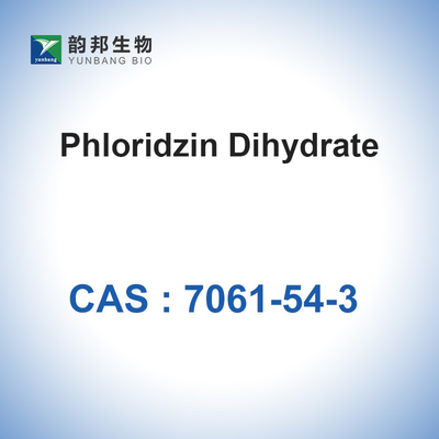 CAS 7061-54-3 matières premières cosmétiques du dihydrate 98% de Phloridzin