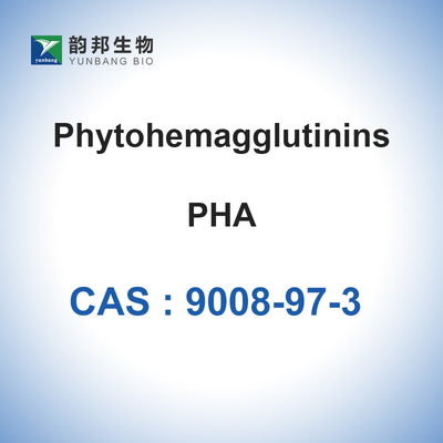 Poudre lyophilisée par 9008-97-3 de CAS de phaseolus vulgaris de PHA Phytohemagglutinin-M