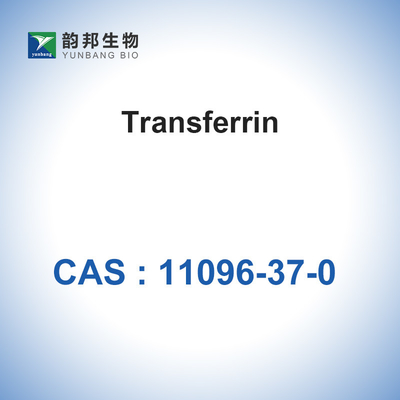 CAS 11096-37-0 enzymes biologiques de catalyseurs/transferrine humaine de Holo