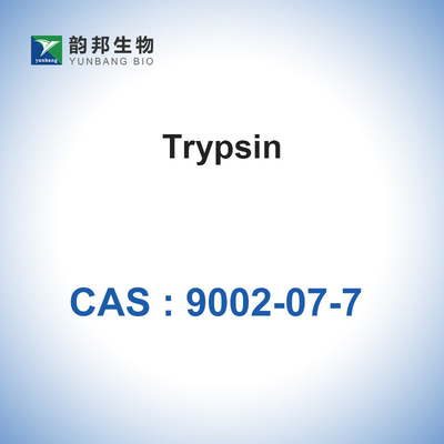 Enzymes biologiques 7,6 pH CAS 9002-07-7 de catalyseurs de 1:250 de trypsine
