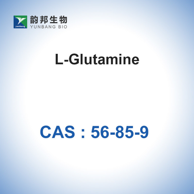 L-glutamine CAS 56-85-9 produits chimiques fins industriels 2,5-Diamino-5-Oxpentanoicacid