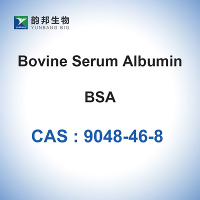 Poudre lyophilisée par solution de CAS 9048-46-8 BSA d'albumine de sérum de boeuf