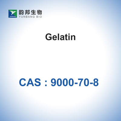 Épaississant absorbable CAS 9000-70-8 d'éponge de gélatine de poudre de gélatine de Teleostean