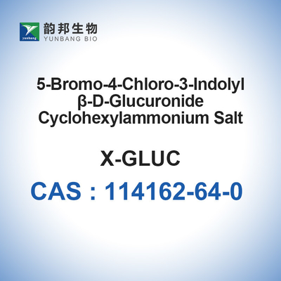 Sel de Cyclohexylammonium du β-D-Glucuronide 5-Bromo-4-Chloro-3-Indolyl de X-Glucuronide CHA CAS 114162-64-0