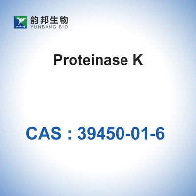 La bio protéinase K de la protéase K d'enzymes de catalyseur de CAS 39450-01-6 a lyophilisé