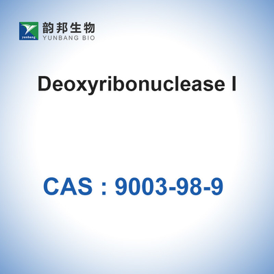 Catalyseurs Enzymes DNase I (&gt;2000u/Mg) CAS 9003-98-9 Désoxyribonucléase I Biologique