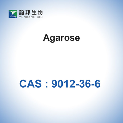 Glycoside biochimique BioReagent d'agarose de CAS 9012-36-6