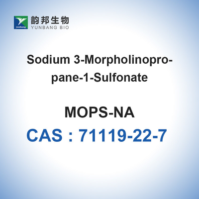 Tampon MOPS sel de sodium CAS 71119-22-7 bioréactif 98 %