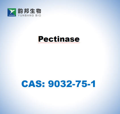 CAS 9032-75-1 Pectinase dérivée d'Aspergillus niger