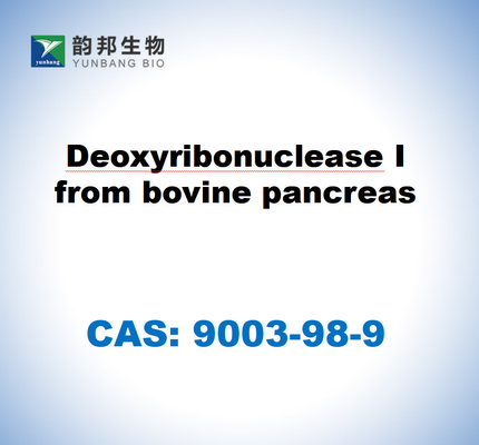 CAS 9003-98-9 Désoxyribonucléase I provenant du pancréas bovin