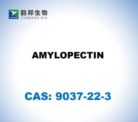 CAS 9037-22-3 AMYLOPECTINE