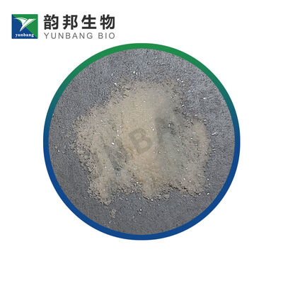 CAS525-79-1-Réactif biochimique de kinétine pour laboratoires