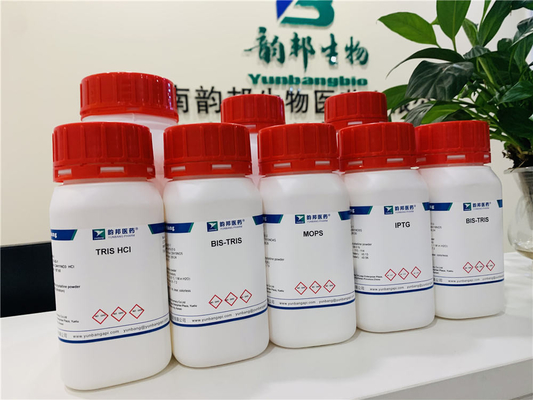 IBMX CAS 28822-58-4 produits chimiques 3-Isobutyl-1-Methylxanthine fins