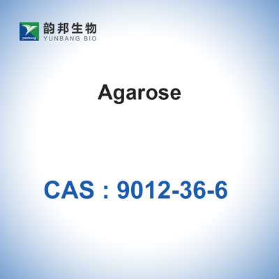 Glycoside biochimique CAS d'agarose 9012-36-6 intermédiaires pharmaceutiques