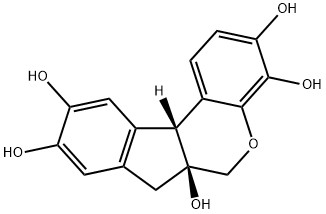 Hématoxyline en poudre CAS NO 517-28-2 Taches biologiques