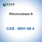 RNase une ribonucléase A de pancréas bovin CAS biologique 9001-99-4