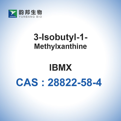 IBMX CAS 28822-58-4 produits chimiques 3-Isobutyl-1-Methylxanthine fins