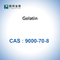 Épaississant absorbable CAS 9000-70-8 d'éponge de gélatine de poudre de gélatine de Teleostean