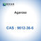 Glycoside biochimique BioReagent d'agarose de CAS 9012-36-6