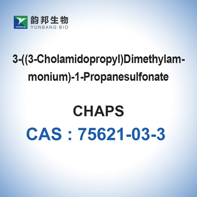 CAS 75621-03-3 GERCE les tampons biologiques 3 [dimethylammonio (3-Cholamidopropyl)] - l'hydrate 1-propanesulfonate