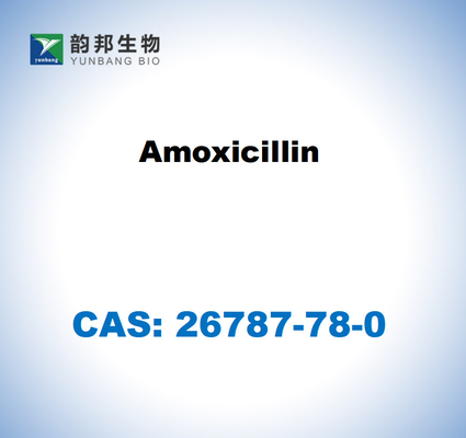 CAS 26787-78-0 Amoxicilline