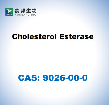 CAS 9026-00-0 Cholestérol estérase de Pseudomonas fluorescens
