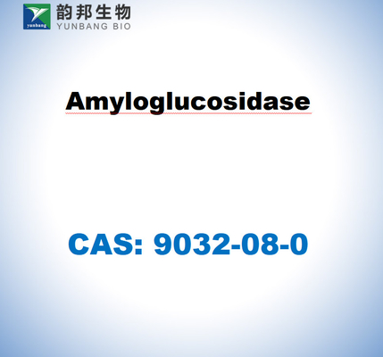 CAS 9032-08-0 Amyloglucosidase dérivée d'Aspergillus niger