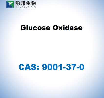 CAS 9001-37-0 Oxydase du glucose de l'aspergillus niger
