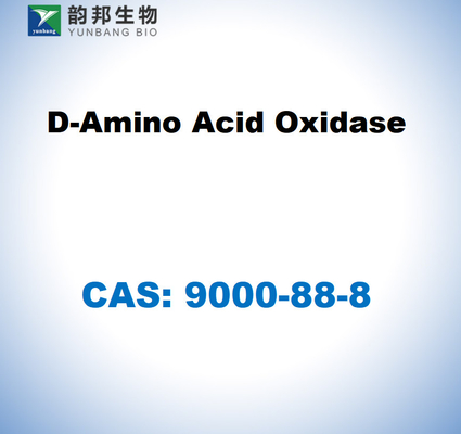 CAS 9000-88-8 D-acide aminé oxydase du rein de porc