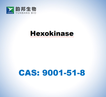 CAS 9001-51-8 Hexokinase dérivée de Saccharomyces cerevisiae