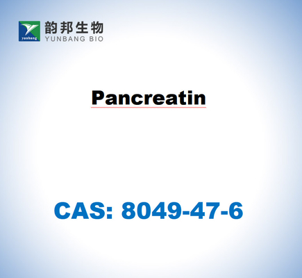 CAS 8049-47-6 Pancréatine provenant du pancréas porcin