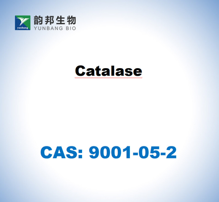 CAS 9001-05-2 Catalyse du foie bovin