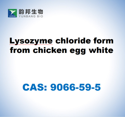CAS 9066-59-5 Chlorure de lysozyme sous forme de blanc d'œuf de poulet