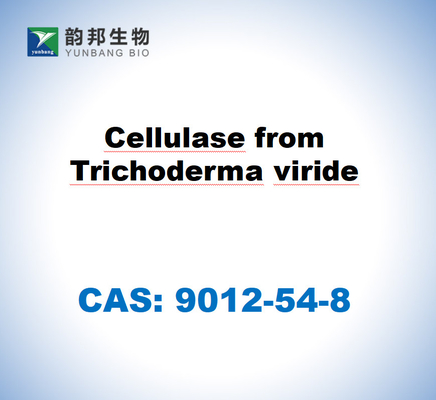 CAS 9012-54-8 Cellulase dérivée du trichoderma viride