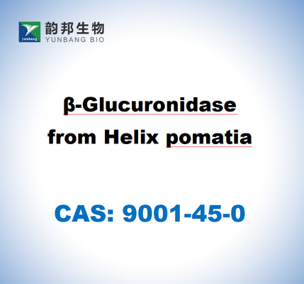 CAS 9001-45-0 Β-glucuronidase de l'hélice pomatia