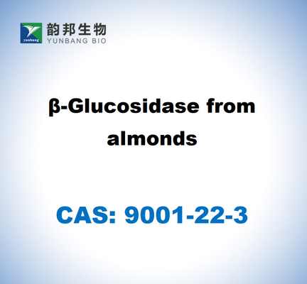CAS 9001-45-0 B-glucosidase des amandes