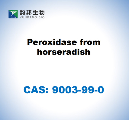 CAS 9003-99-0 Peroxidase du raifort