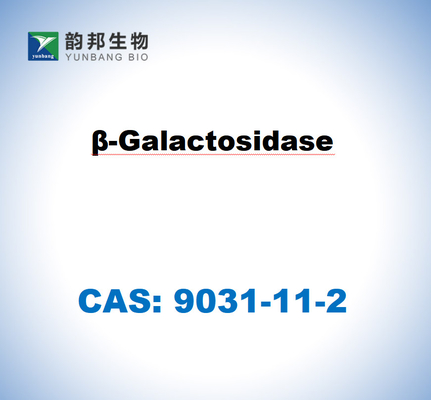 CAS 9031-11-2 β-galactosidase dérivée d'Aspergillus niger