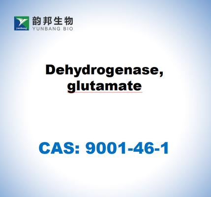 CAS 9001-46-1 Déshydrogénase, glutamate