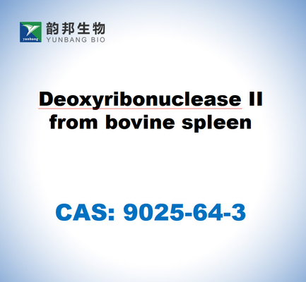 CAS 9025-64-3 Désoxyribonucléase II de la rate bovine