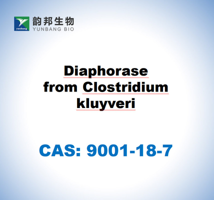 CAS 9001-18-7 Diaphorase dérivée de Clostridium kluyveri