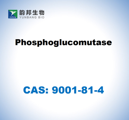 CAS 9001-81-4 Phosphoglucomutase CE 5.4.2.2