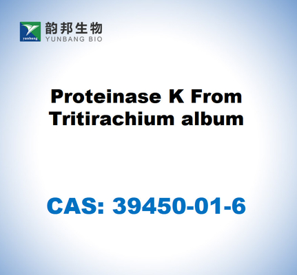 CAS 39450-01-6 Protéinase K à partir de l'album de Tritirachium