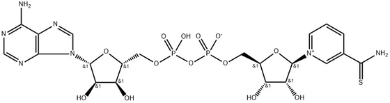 CAS 4090-29-3 Thionicotinamide adénine dinucléotide