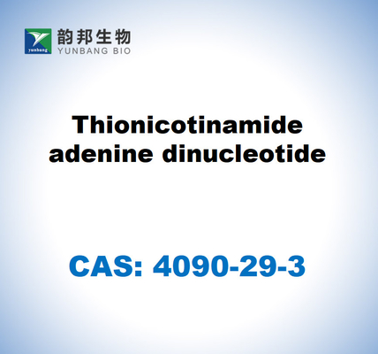 CAS 4090-29-3 Thionicotinamide adénine dinucléotide