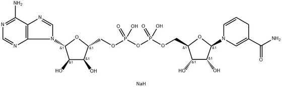 CAS 606-68-8 NADH, disodium, β-nicotinamide adénine dinucléotide, hydrate de sel disodium réduit