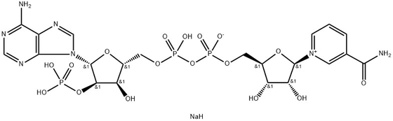 CAS 24292-60-2 NADP, sel disodique