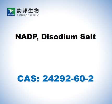 CAS 24292-60-2 NADP, sel disodique