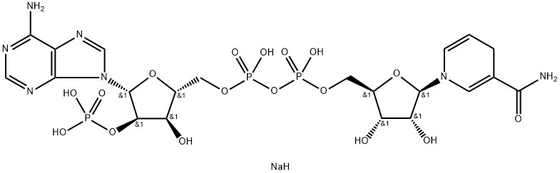 CAS 2646-71-1 Sel de tétrasodium de Nadph