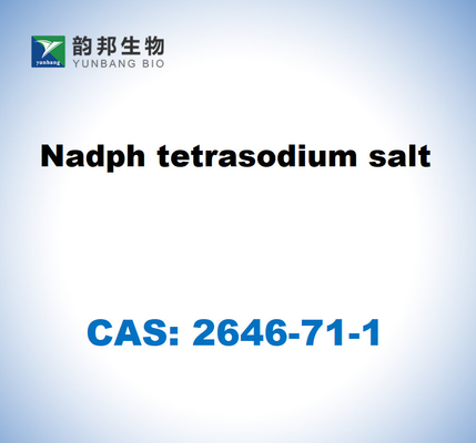 CAS 2646-71-1 Sel de tétrasodium de Nadph